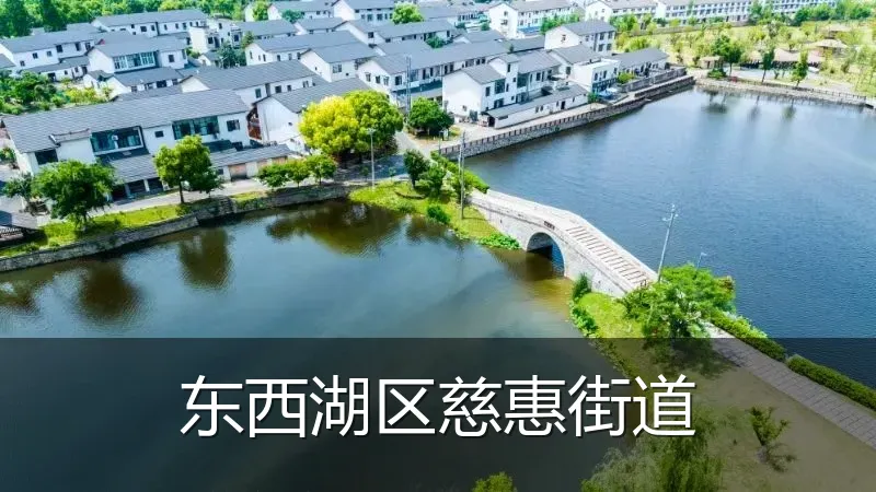 东西湖区慈惠街道