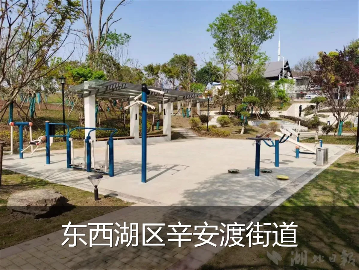 东西湖区辛安渡街道