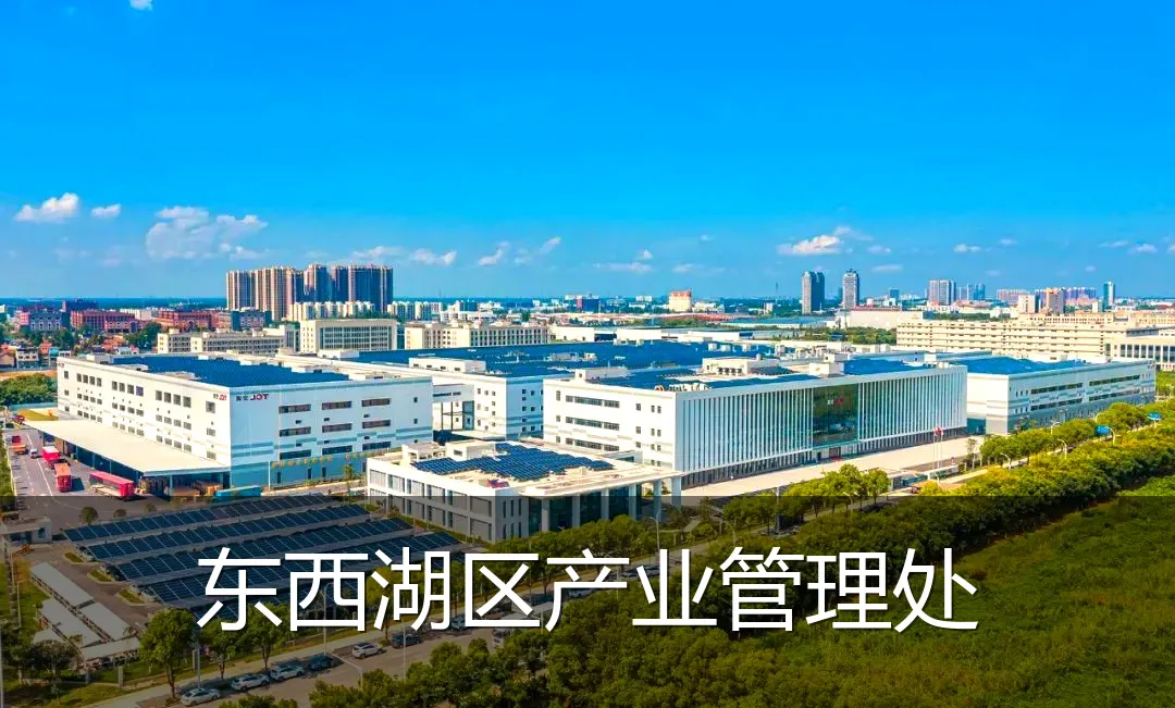 东西湖区产业管理处