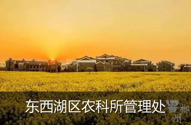 东西湖区农科所管理处