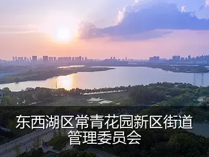 东西湖区常青花园新区街道管理委员会