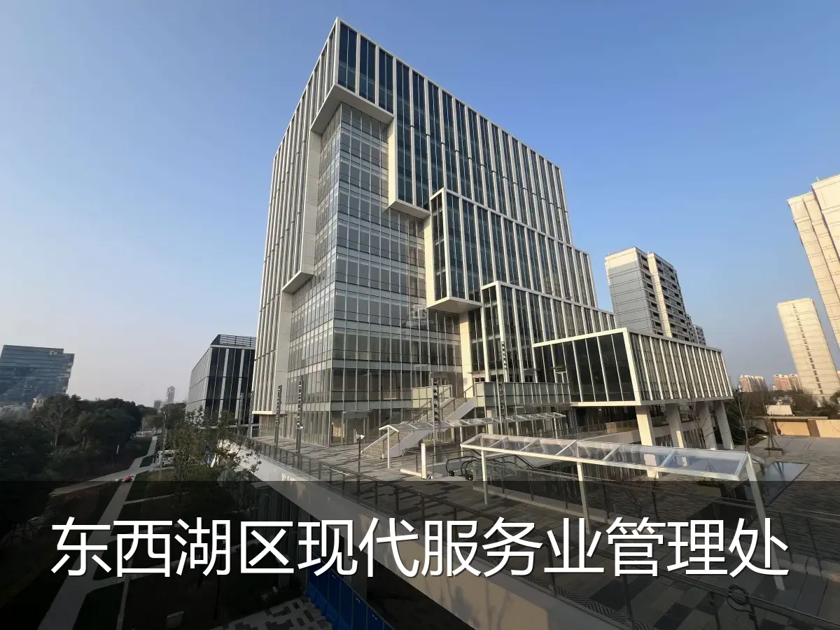 东西湖区现代服务业管理处
