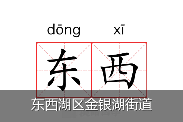 东西湖区金银湖街道